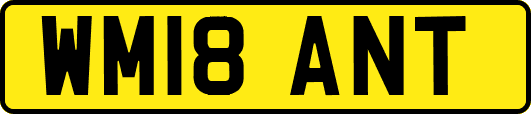 WM18ANT