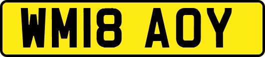 WM18AOY