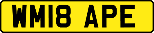 WM18APE