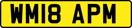 WM18APM