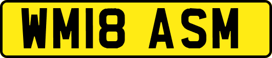 WM18ASM