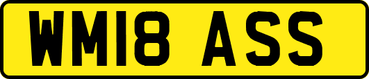 WM18ASS