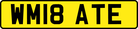 WM18ATE