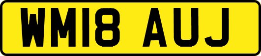 WM18AUJ
