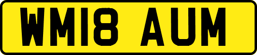 WM18AUM