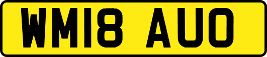 WM18AUO