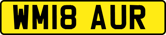 WM18AUR
