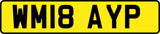 WM18AYP