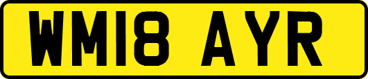 WM18AYR