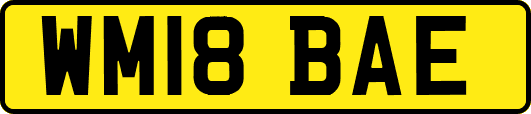 WM18BAE