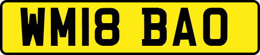 WM18BAO