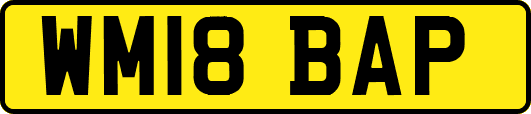 WM18BAP