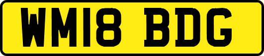 WM18BDG
