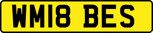 WM18BES