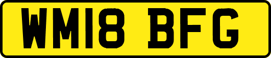 WM18BFG
