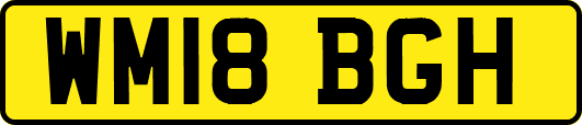 WM18BGH