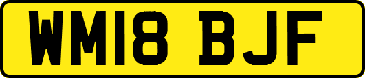 WM18BJF