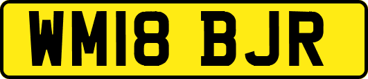 WM18BJR