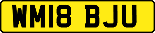 WM18BJU