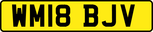 WM18BJV