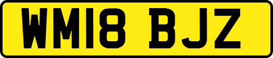 WM18BJZ