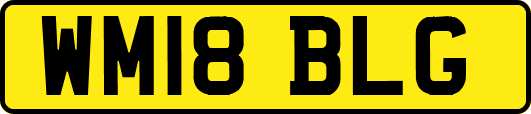 WM18BLG