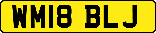 WM18BLJ