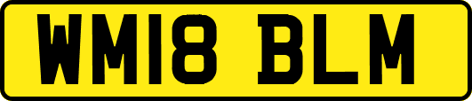 WM18BLM