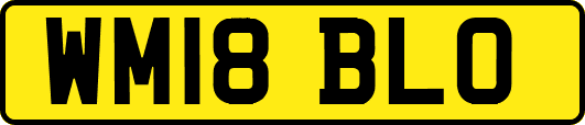 WM18BLO