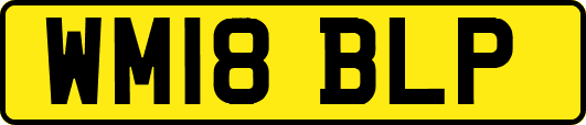 WM18BLP