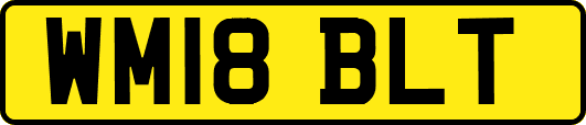 WM18BLT