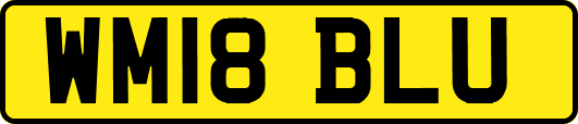 WM18BLU