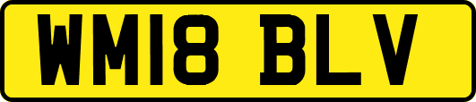WM18BLV