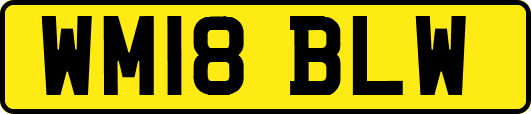 WM18BLW