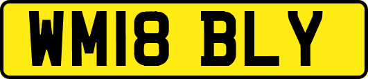 WM18BLY