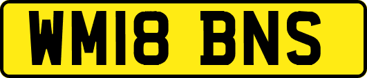 WM18BNS
