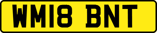 WM18BNT