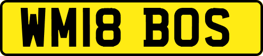 WM18BOS