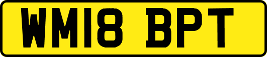 WM18BPT