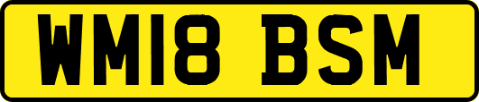 WM18BSM