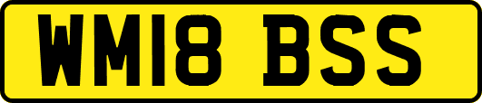 WM18BSS