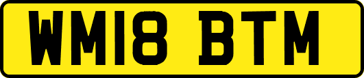 WM18BTM