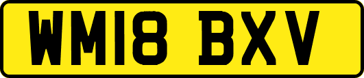 WM18BXV