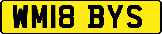 WM18BYS