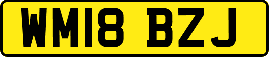 WM18BZJ