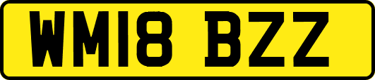 WM18BZZ