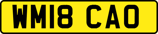 WM18CAO