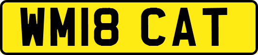 WM18CAT
