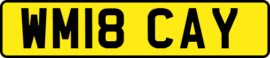 WM18CAY