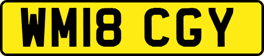 WM18CGY